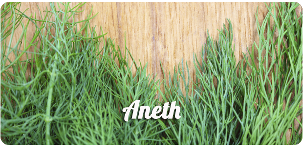 aneth